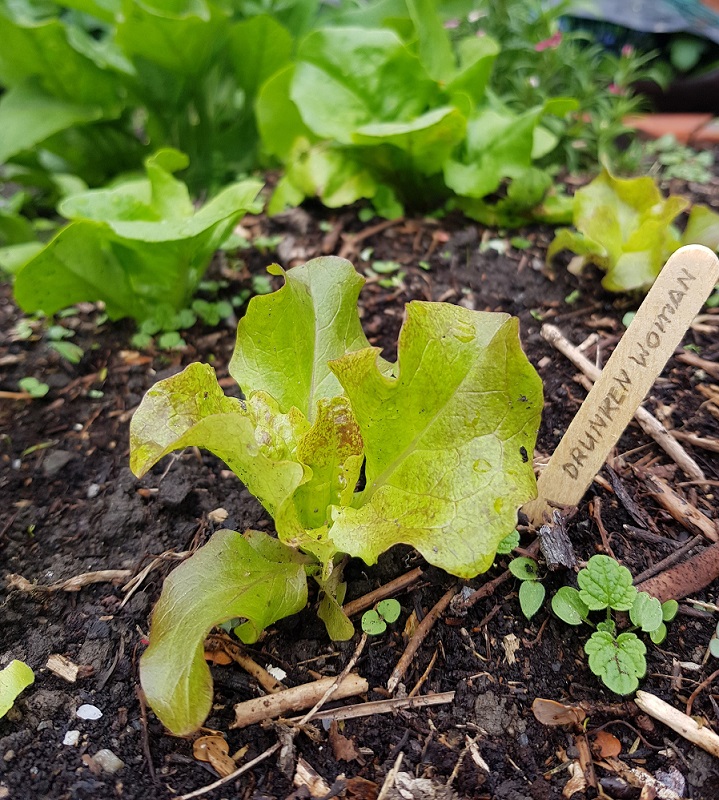 Labour Day is delayed in this household