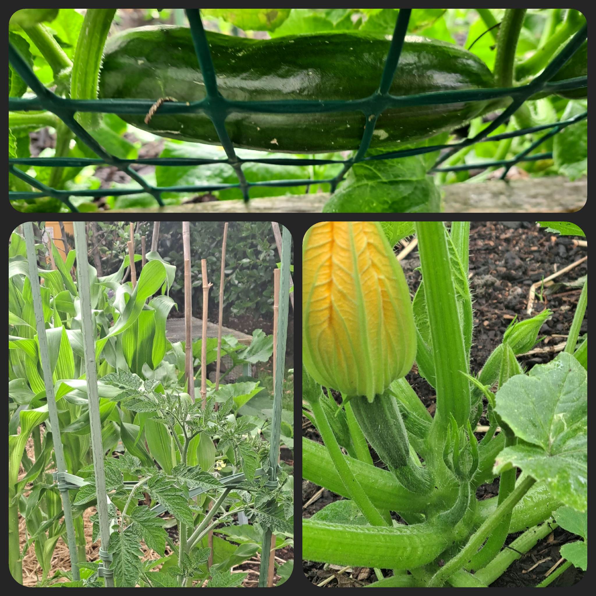 A Little Bit of Everything