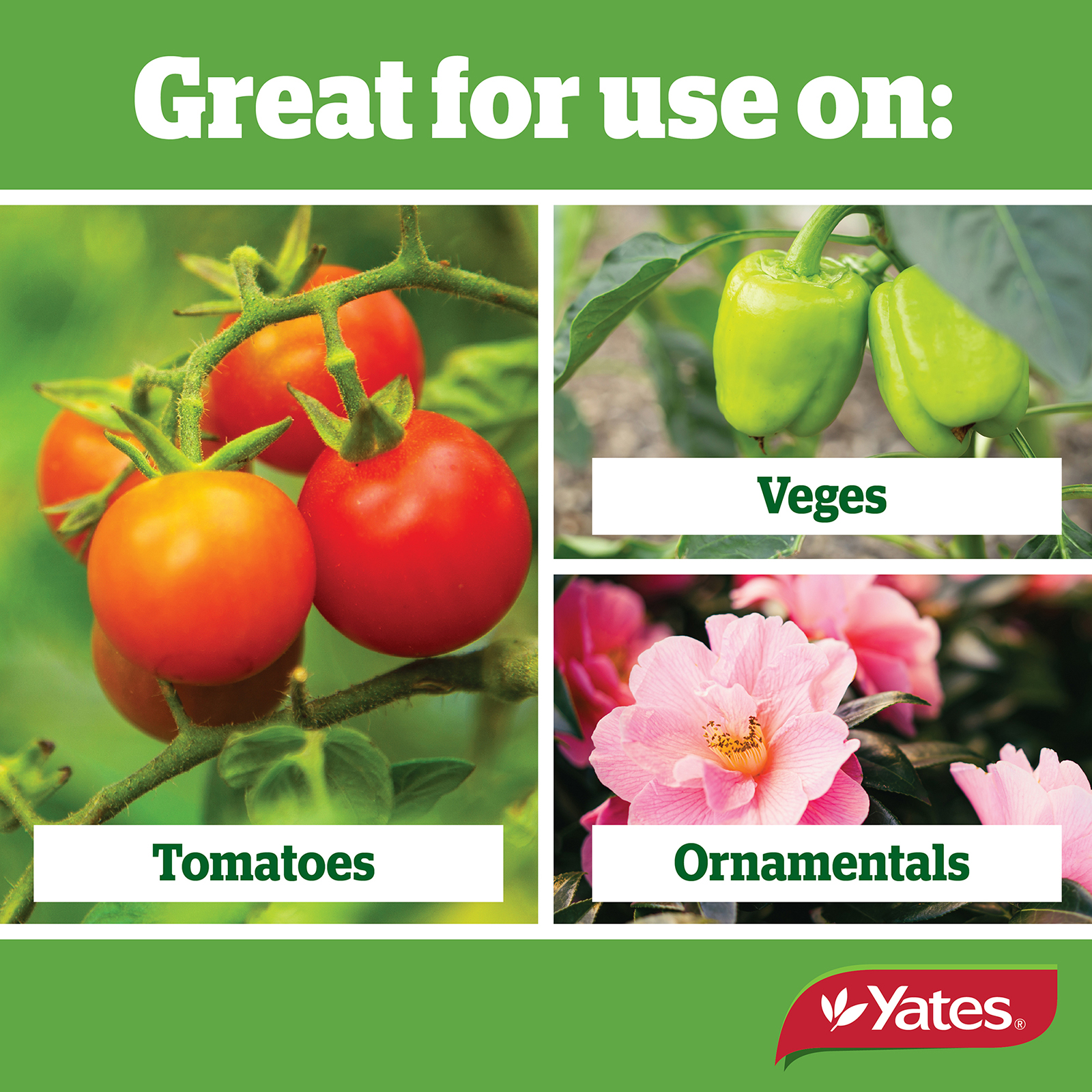 Yates Web Info NUTRASOAP V2 03