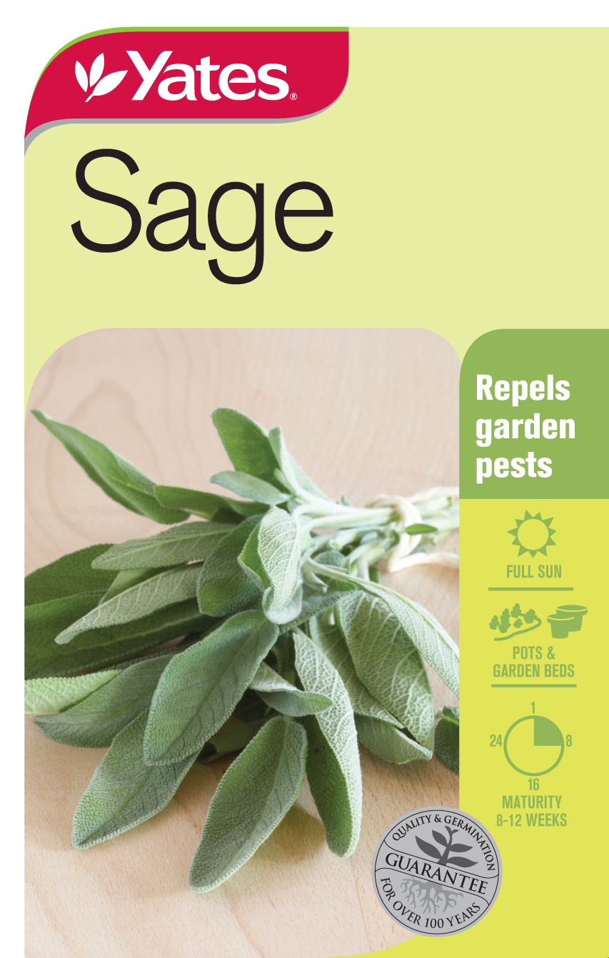 Sage