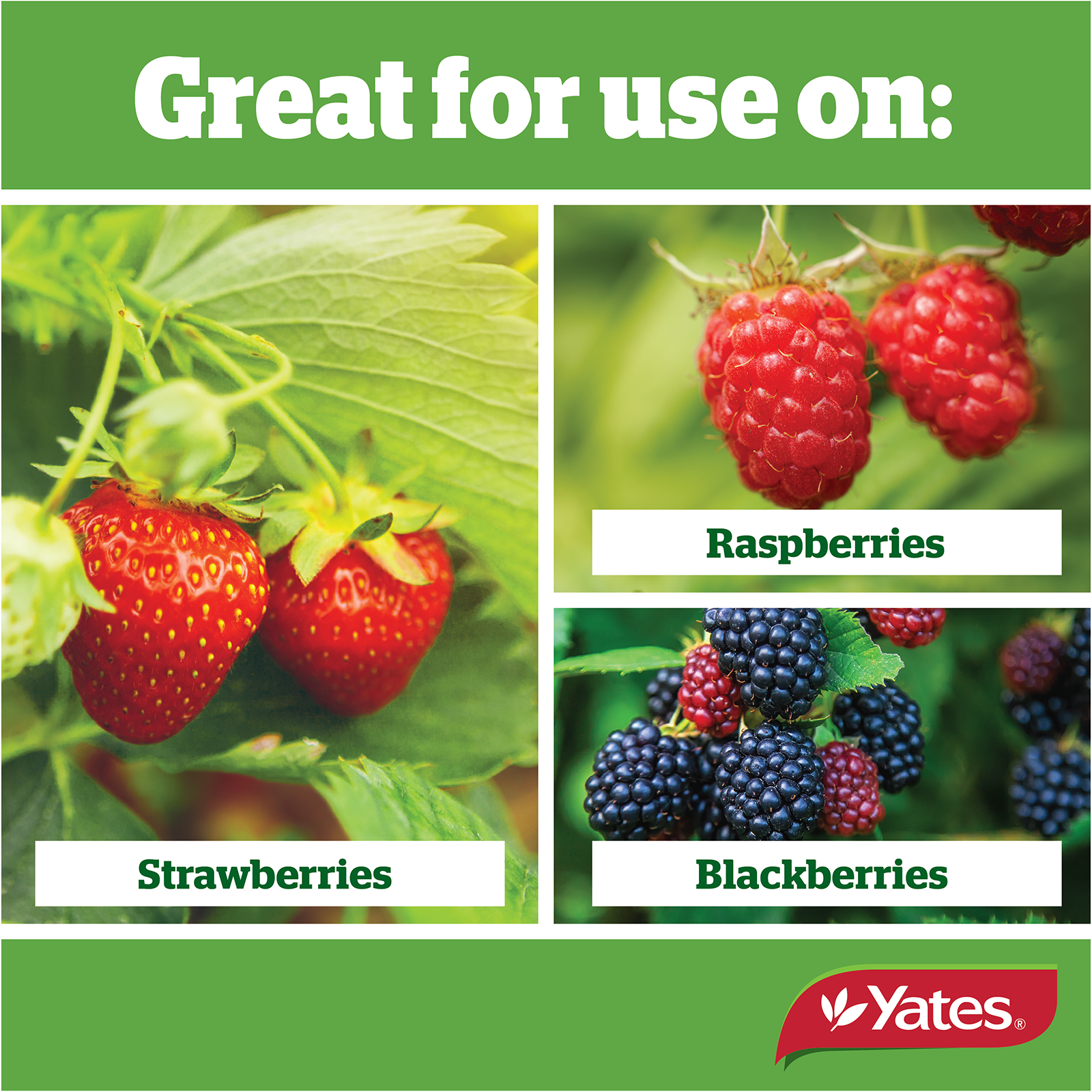 Yates Strawberry Liquid V1 04