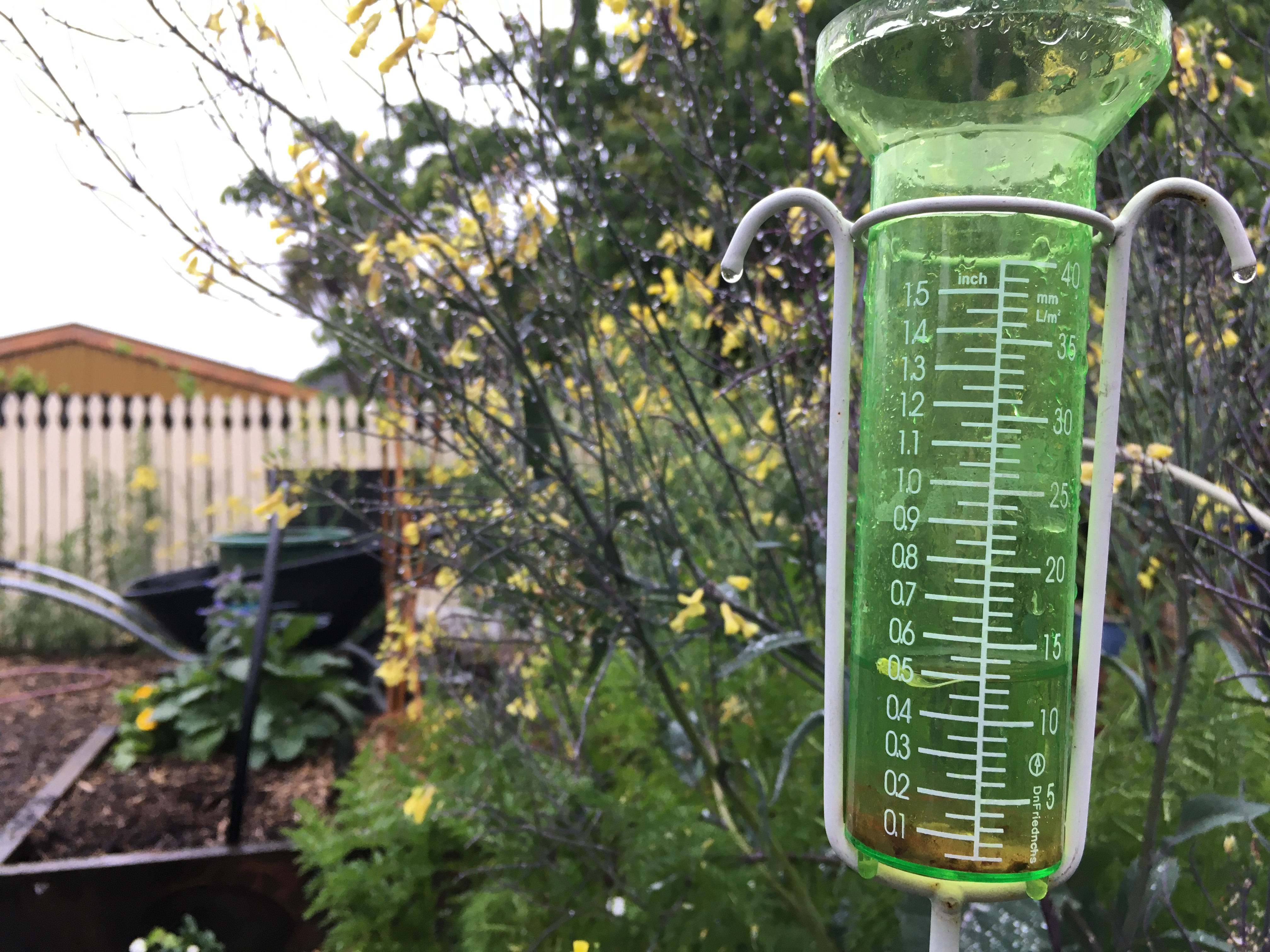 Not trying to show off, but we got RAIN!