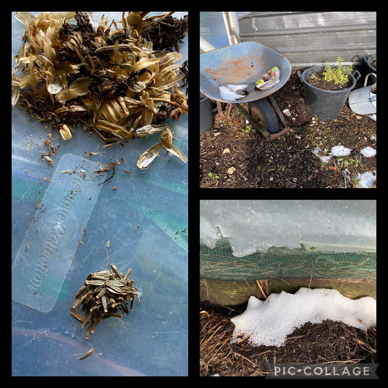 Hail and sleet are kinda neat