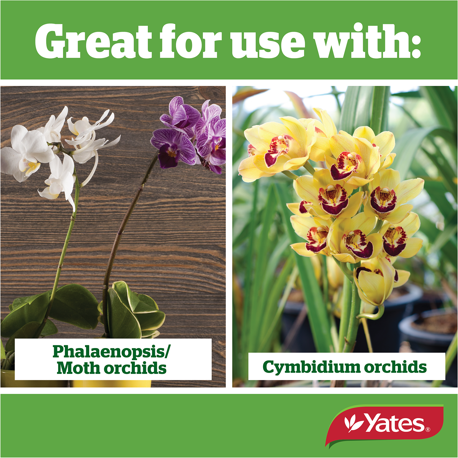 Yates Thrive Orchid Mix V2 05