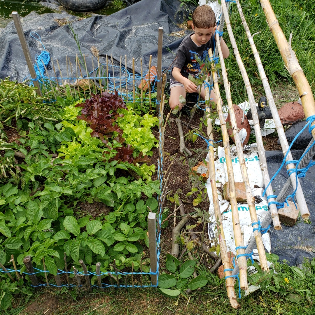 Kids gardens: Mr 6