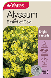 Yates Y35 974 Alyssum Basket Of Gold 2021