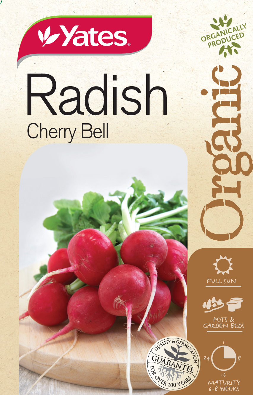 Radish 'Cherry Bell' (Organic)