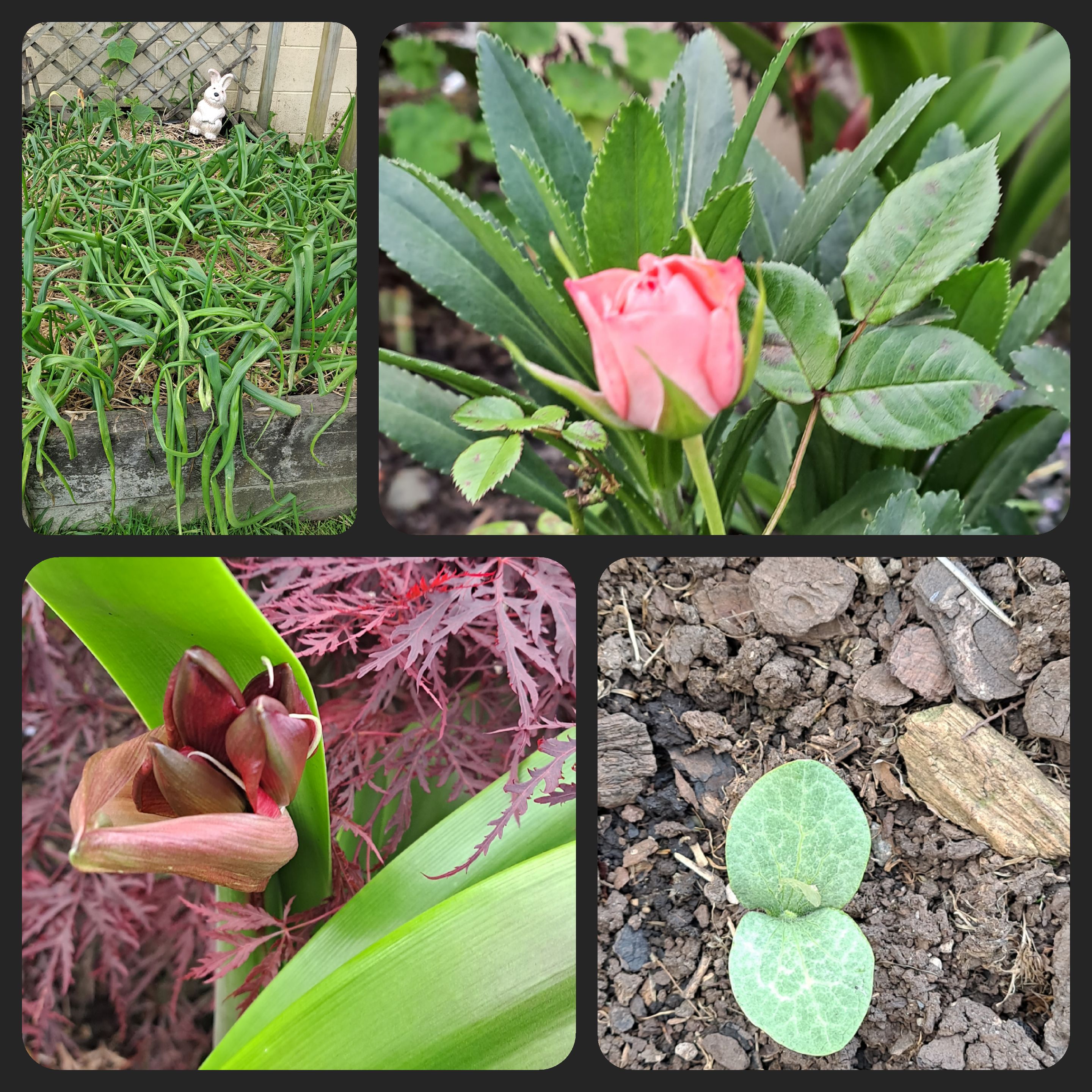 The Good and The Bad