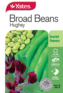 Broad Beans 'Hughey'