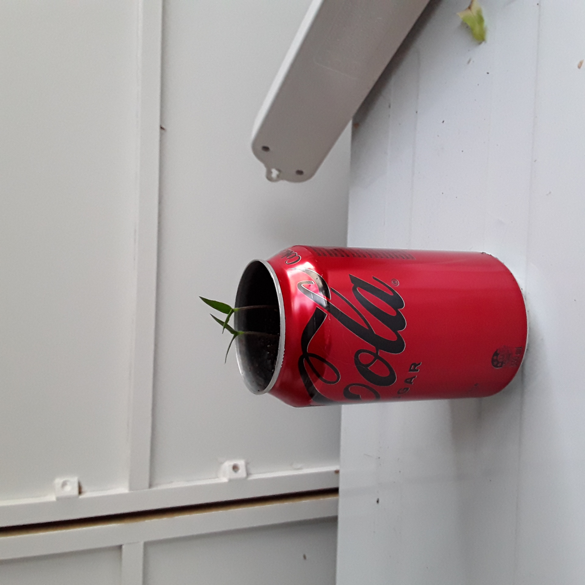 Pepper in a Can Callange.