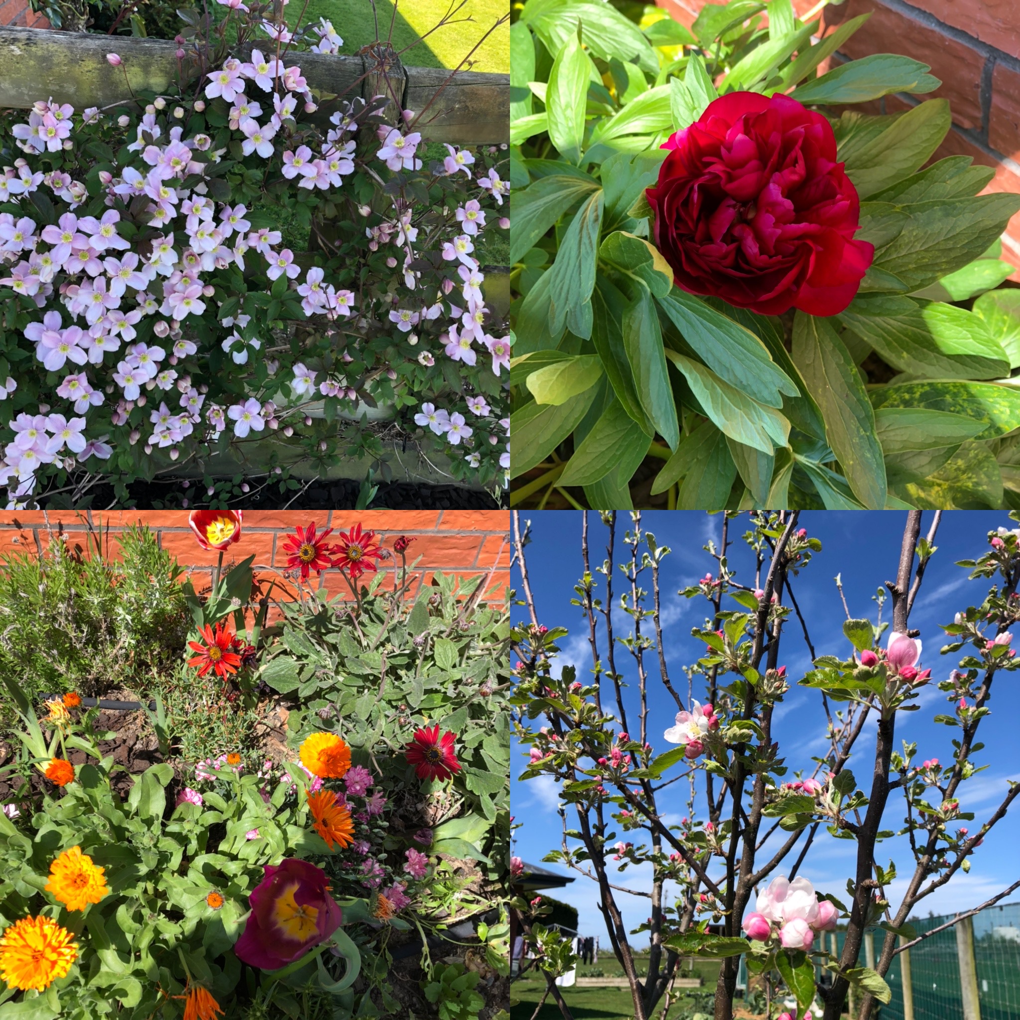 Taking time to enjoy Mother Nature