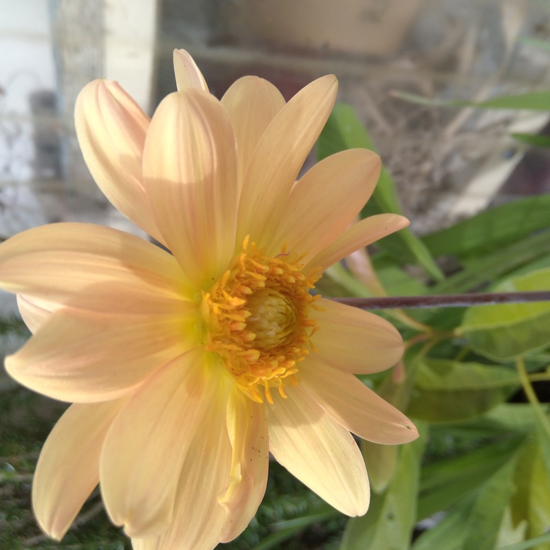 Fruits of the spring 2022 growing challenge!