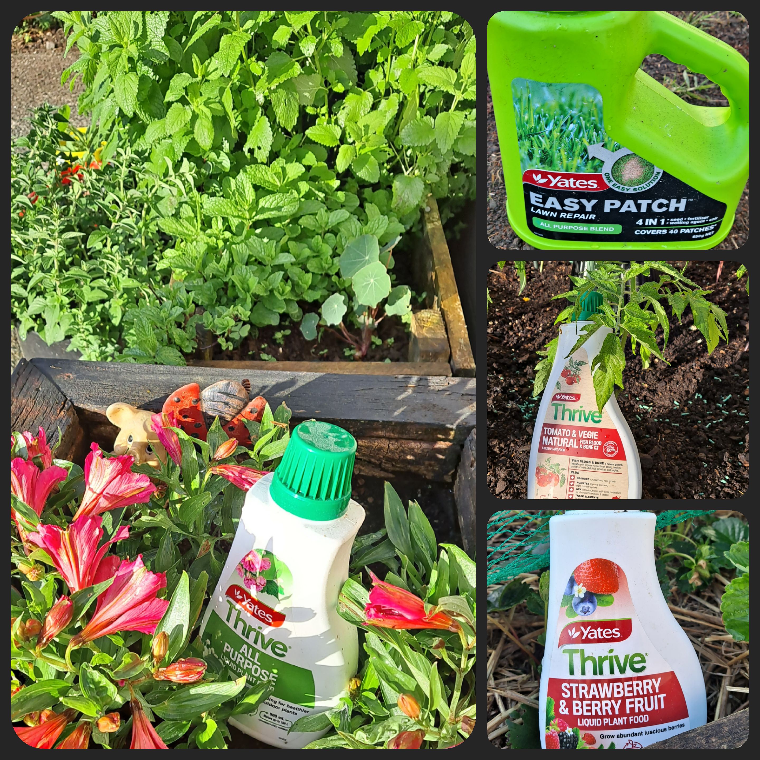 A Bit of TLC Around the Place