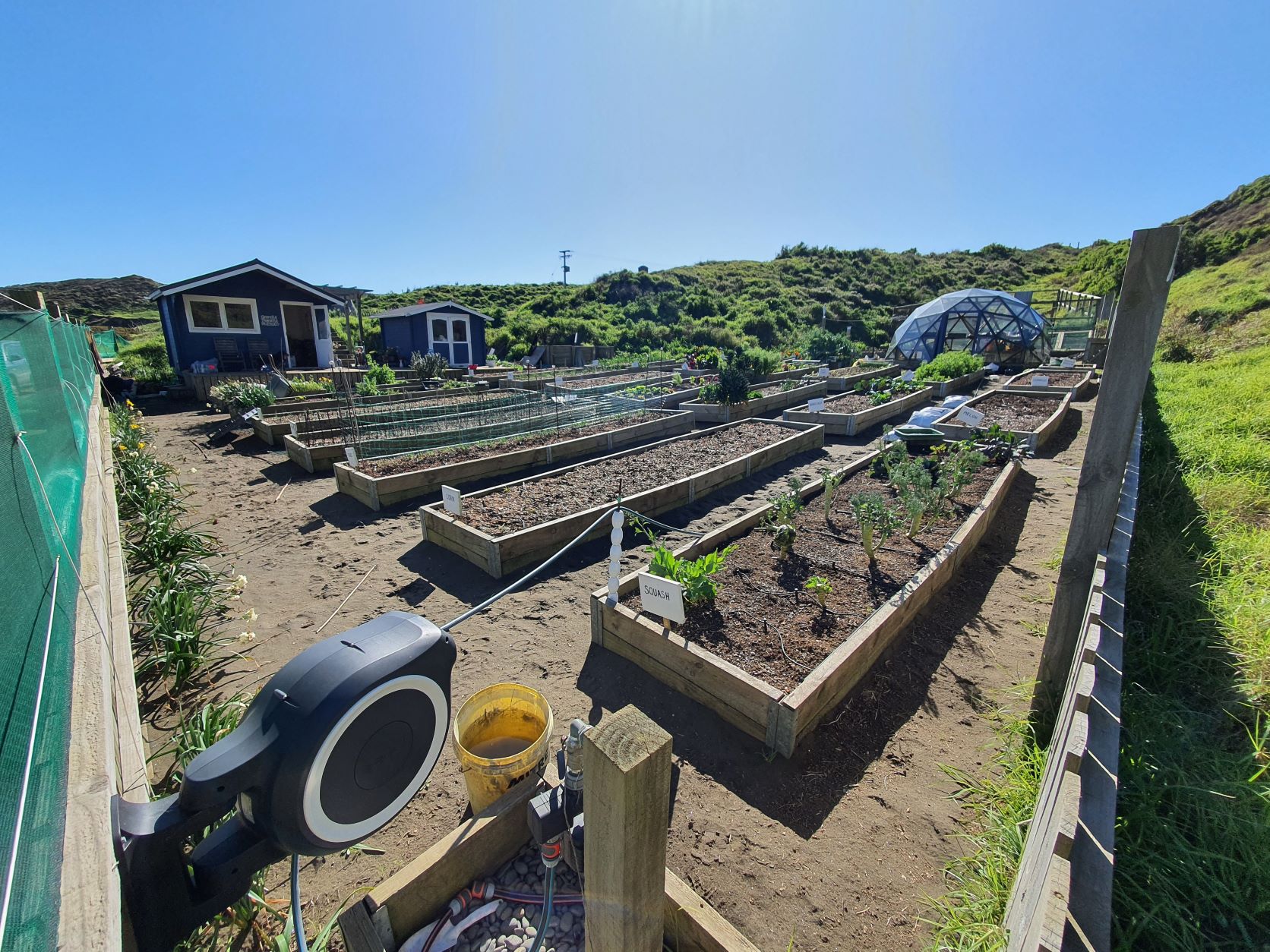 Spring is almost here