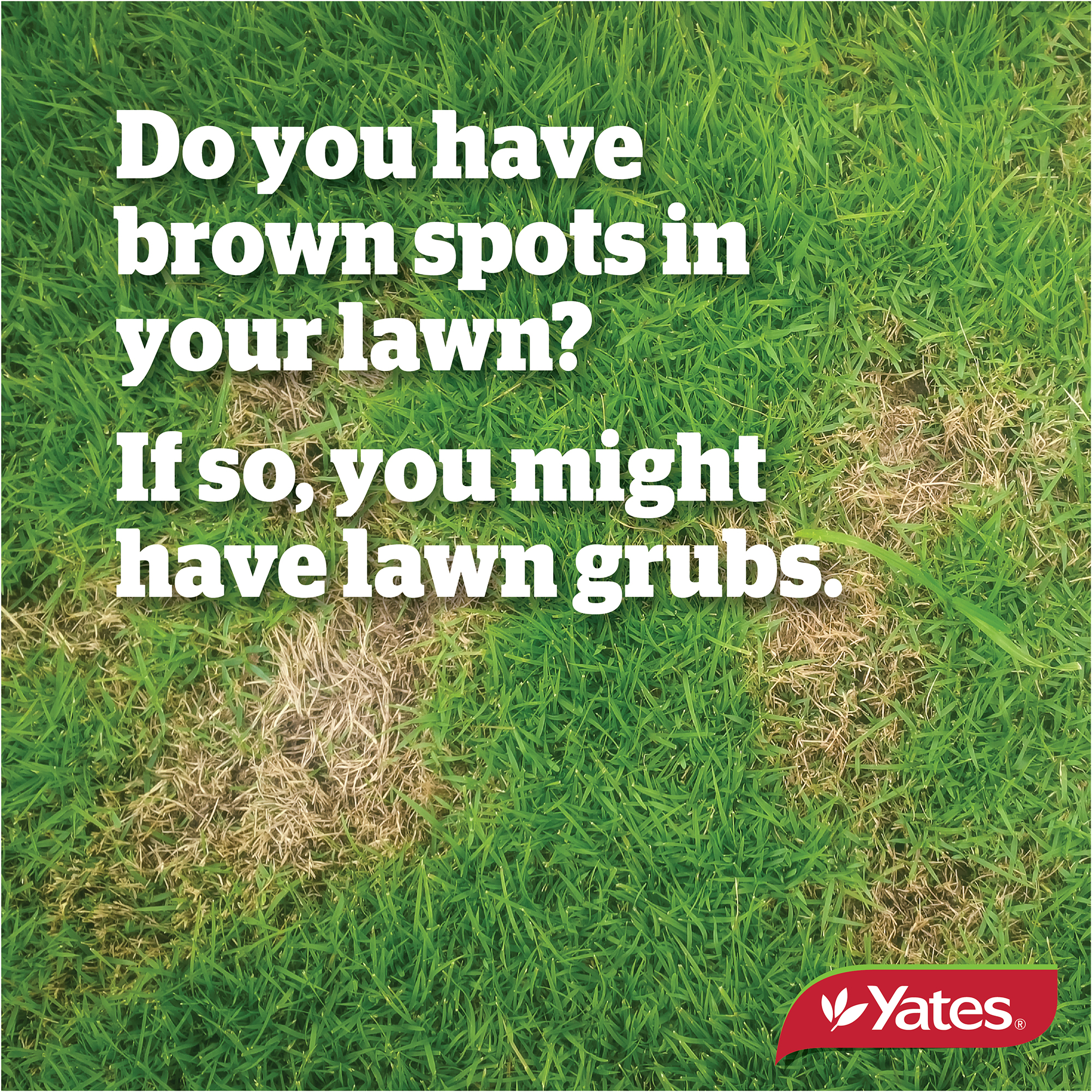 Yates Web Info GRUB Killerv2 09