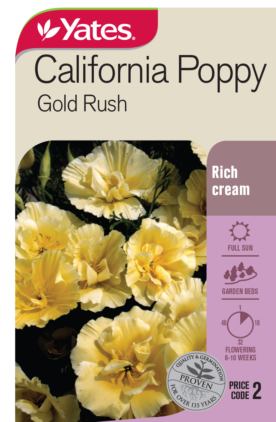 55979 Yates Flwr California Poppy Gold Rush Packet Seed