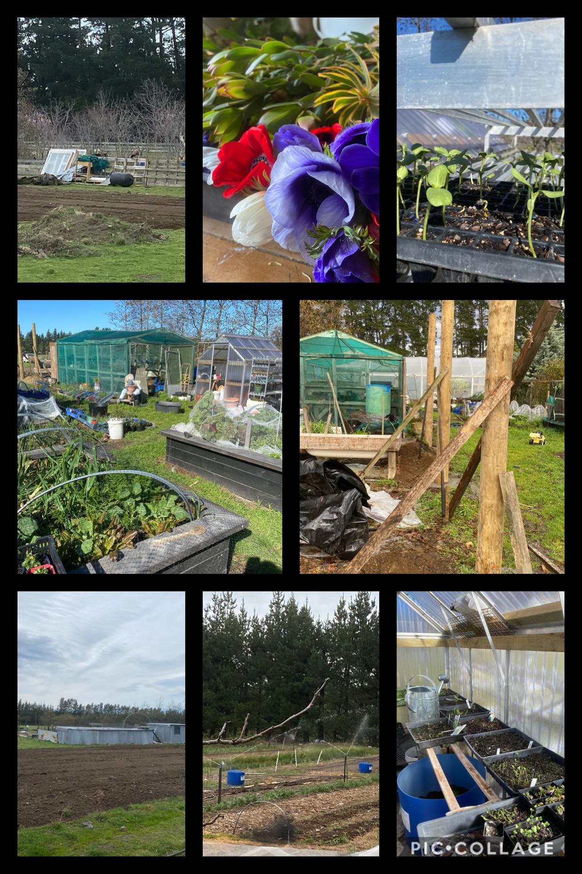 Another Spring another season of Magic