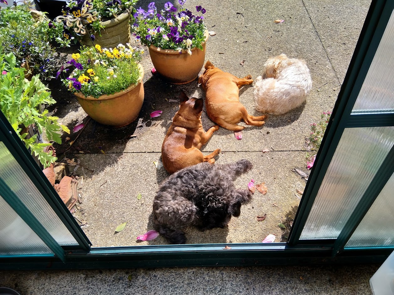 Sunshine & Support Team!