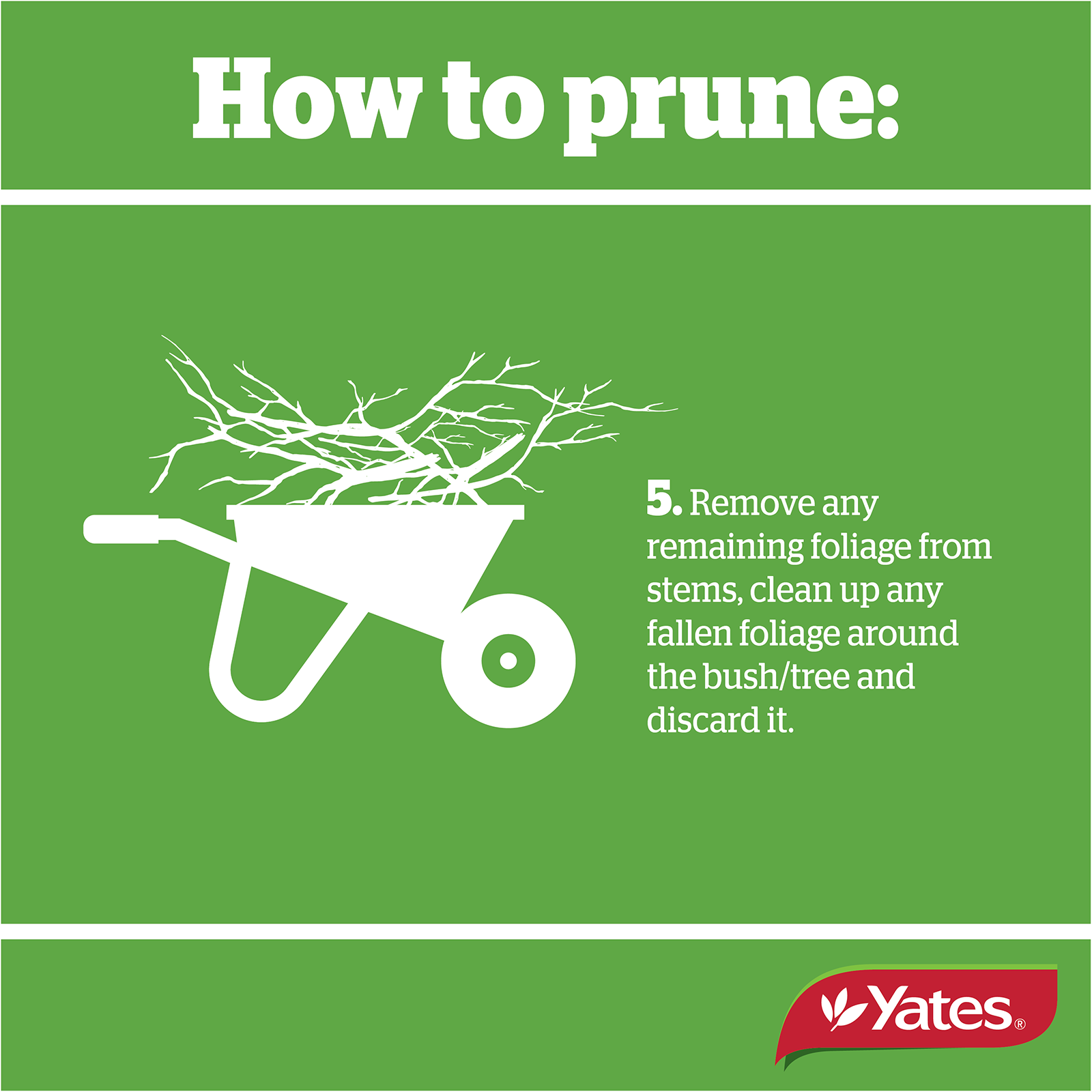 Yates Web Prunetec V1 08