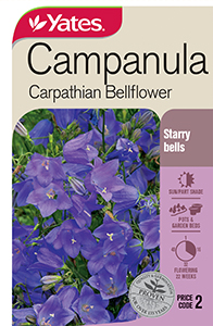 56162 Seed Campanula Carpathian Bellflower YATES