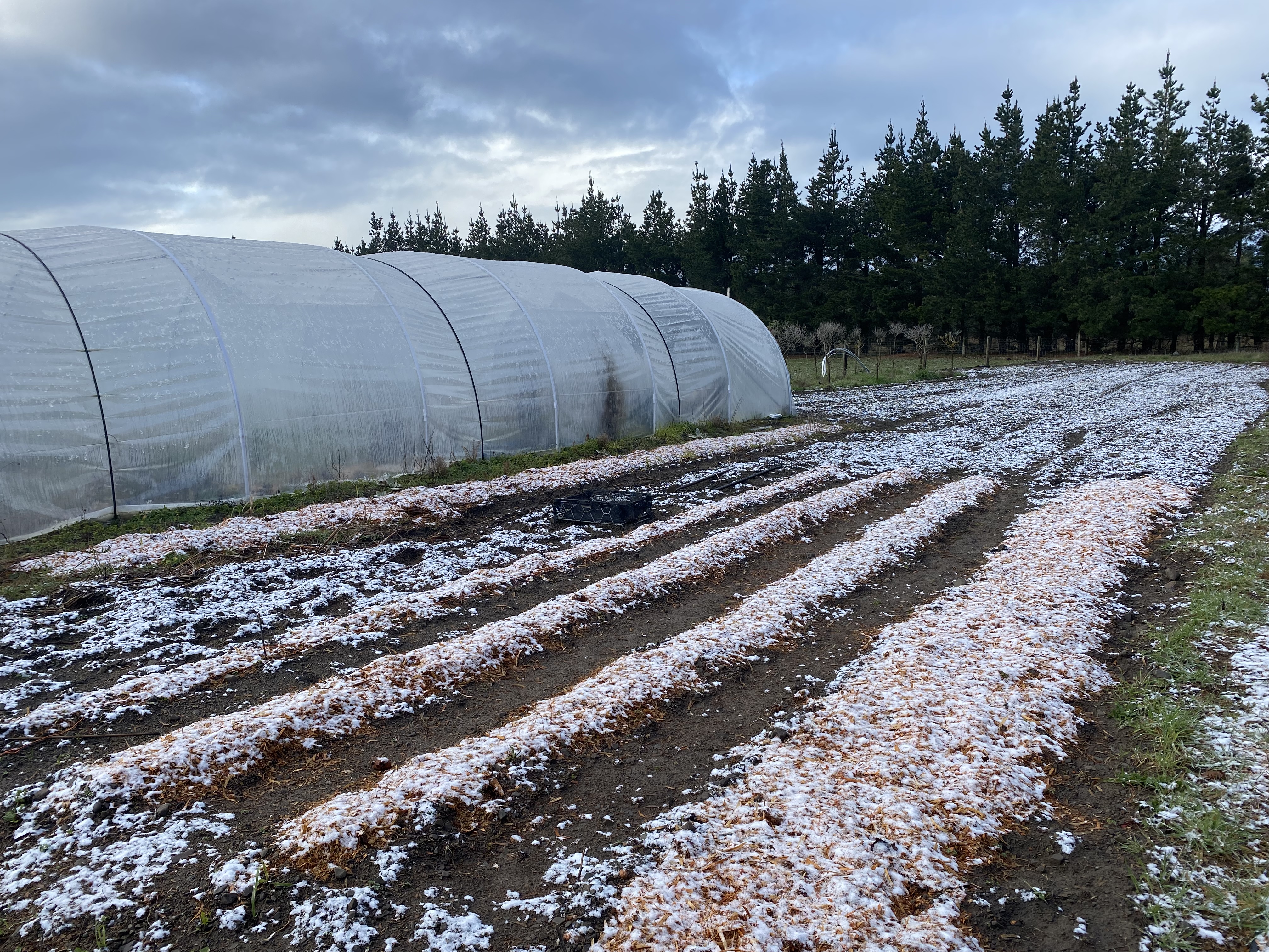 I seem a bit behind the 8 ball 