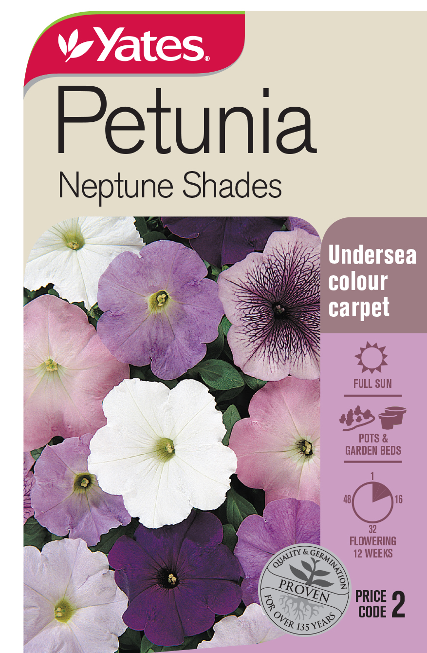 Petunia 'Neptune Shades'