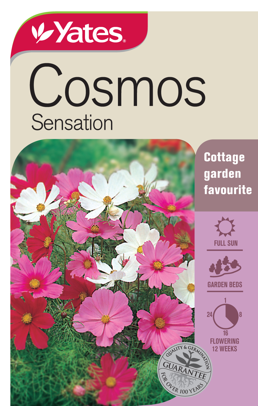 32102 Yates Flwr Cosmos Sensation Packet Seed