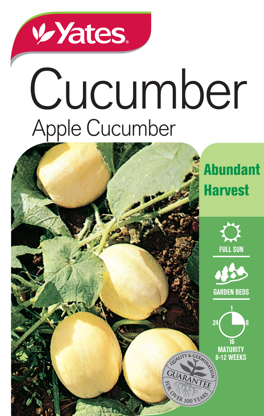 Apple Cucumber