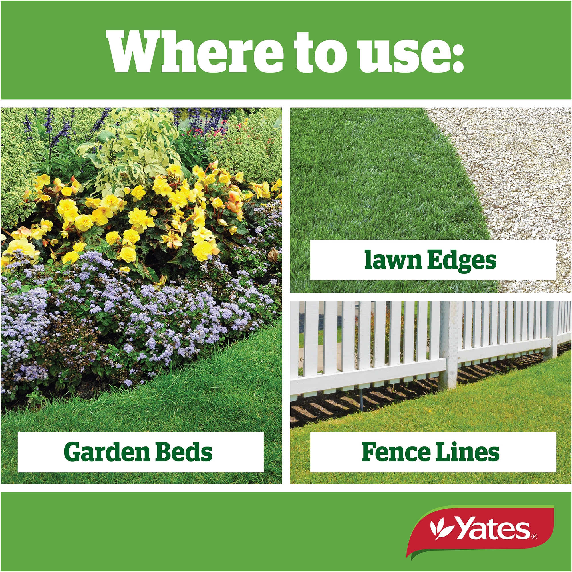 Yates Web Info ZERO RAPID V2 14