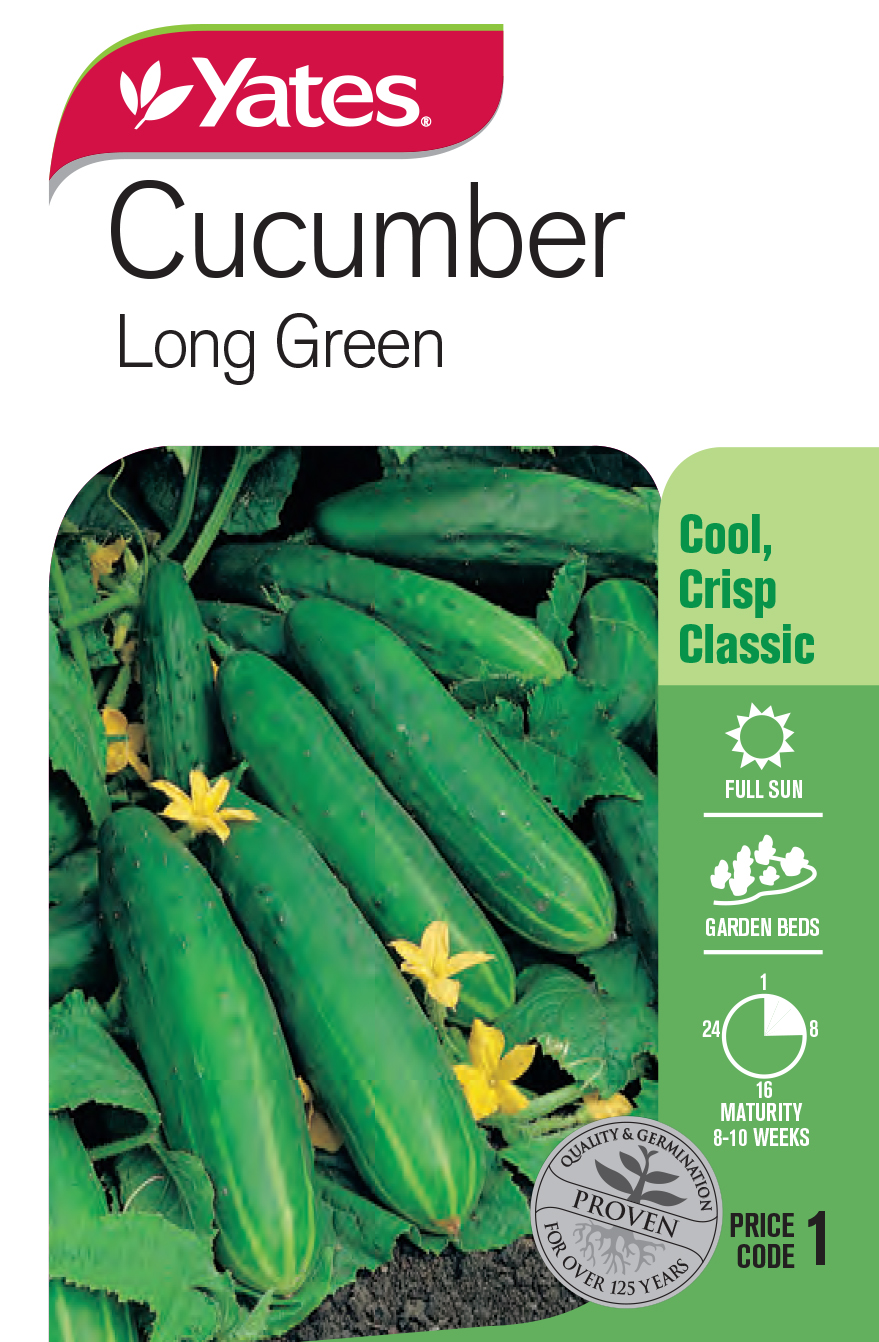 Cucumber 'Long Green'