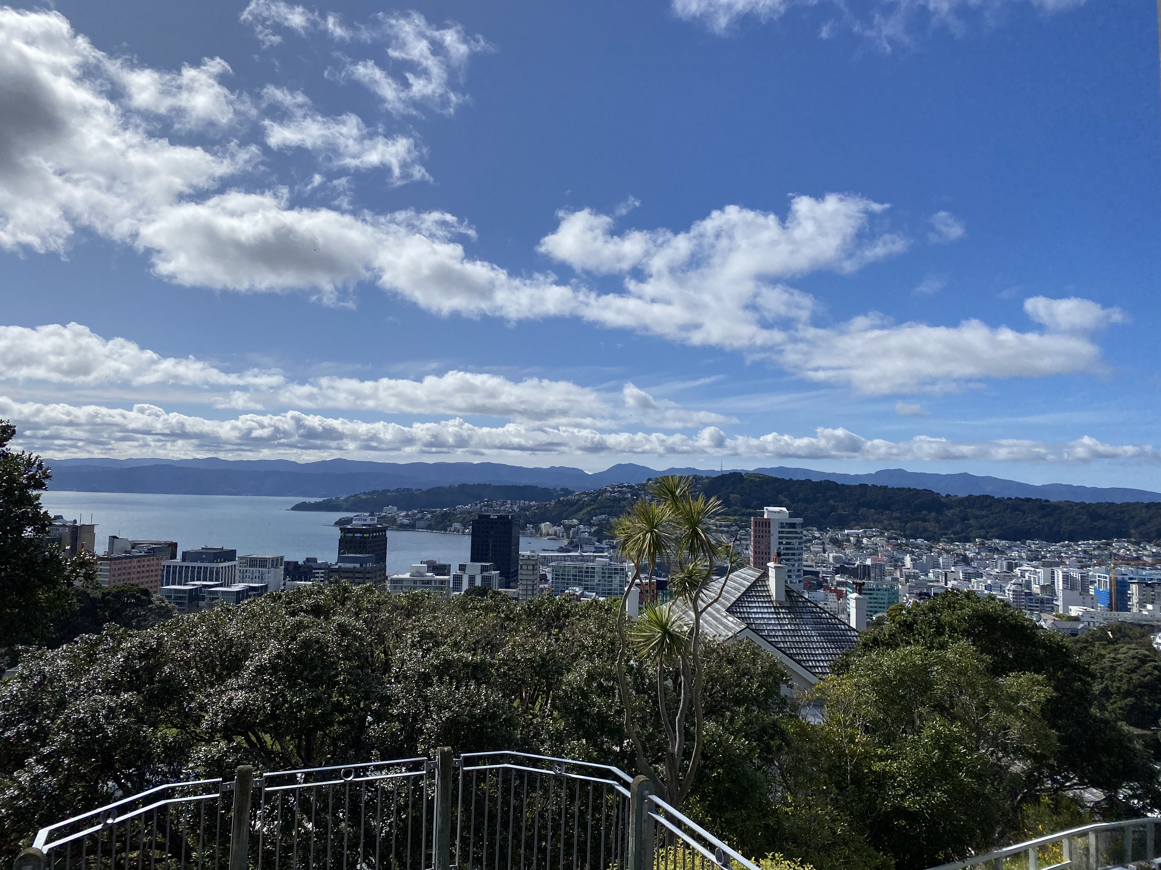 Enjoyed a night in Wellington 