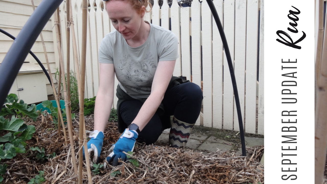 Late September Update