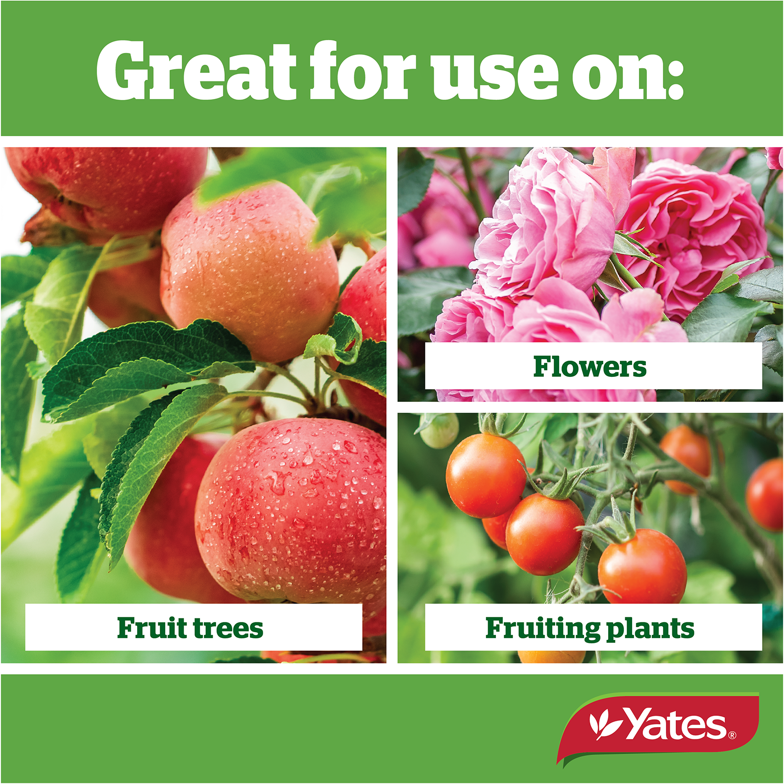 Yates Potash Fert V2 03