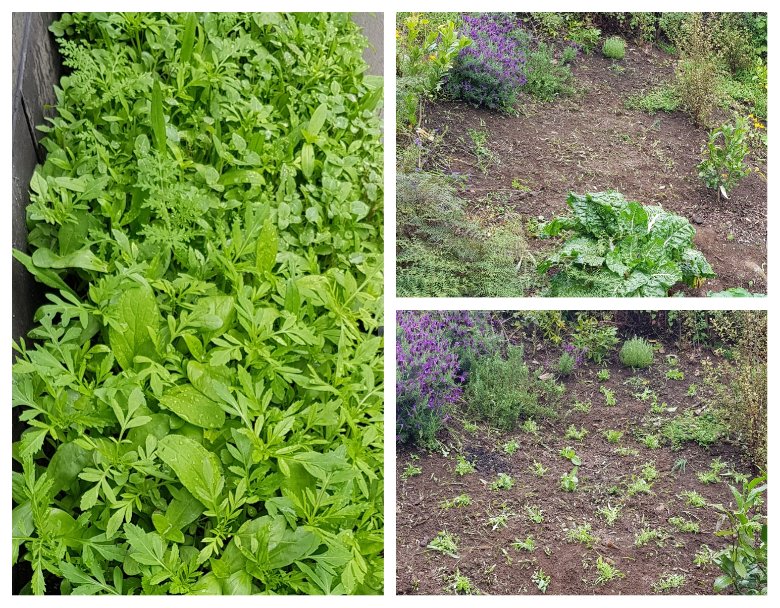 Survival Of The Fittest 