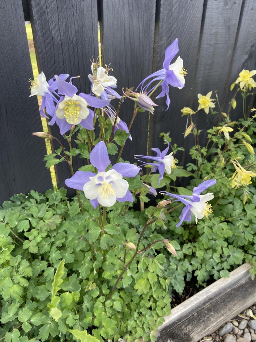 A thought for our Upper North friends