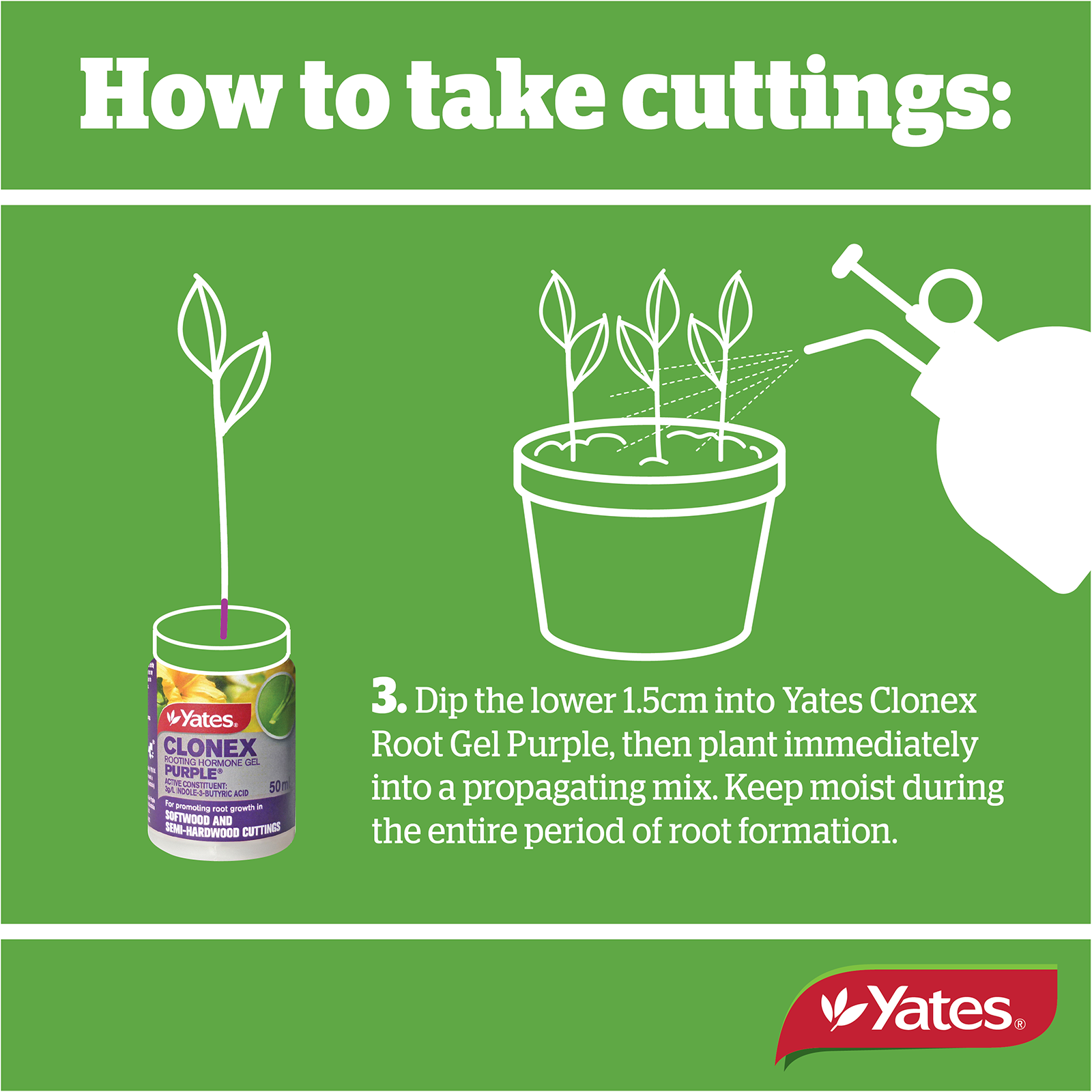 Yates Clonex Web V2 06