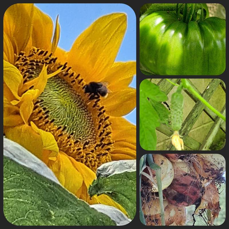 A Touch of the Blues