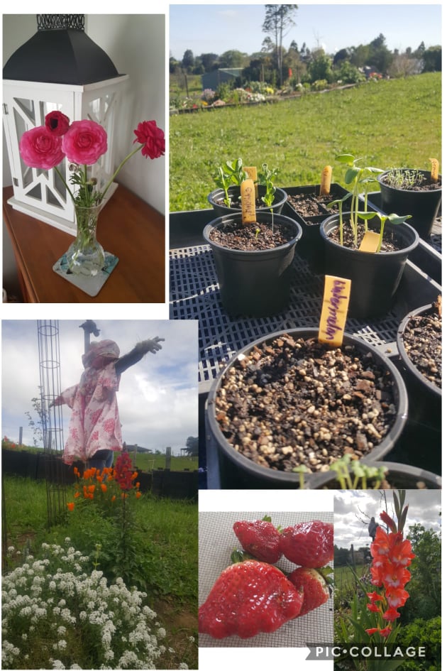 A beautiful day to be home!