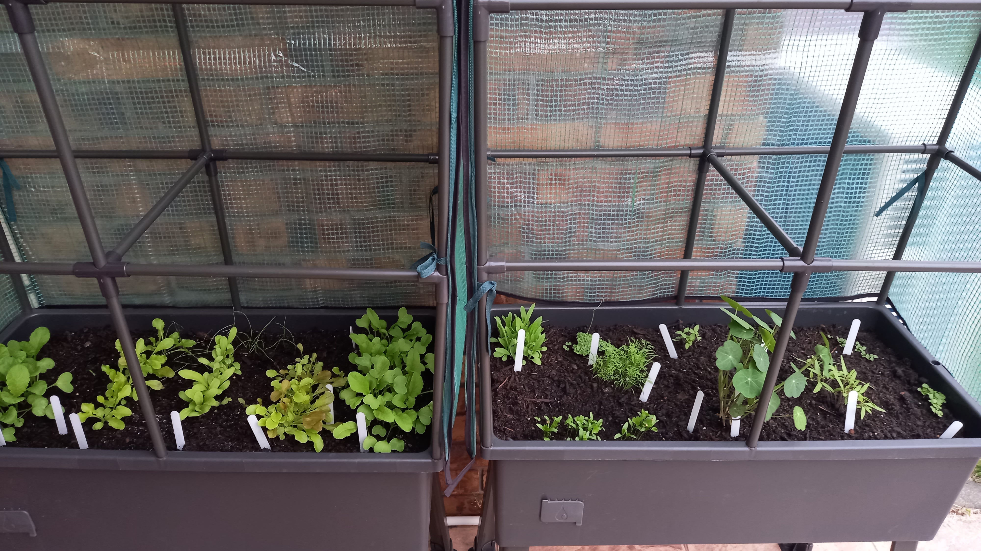 And they keep growing!