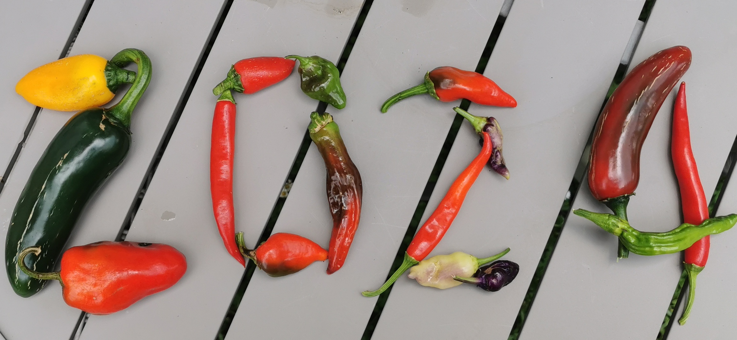 Happy New Year, bring on 2024