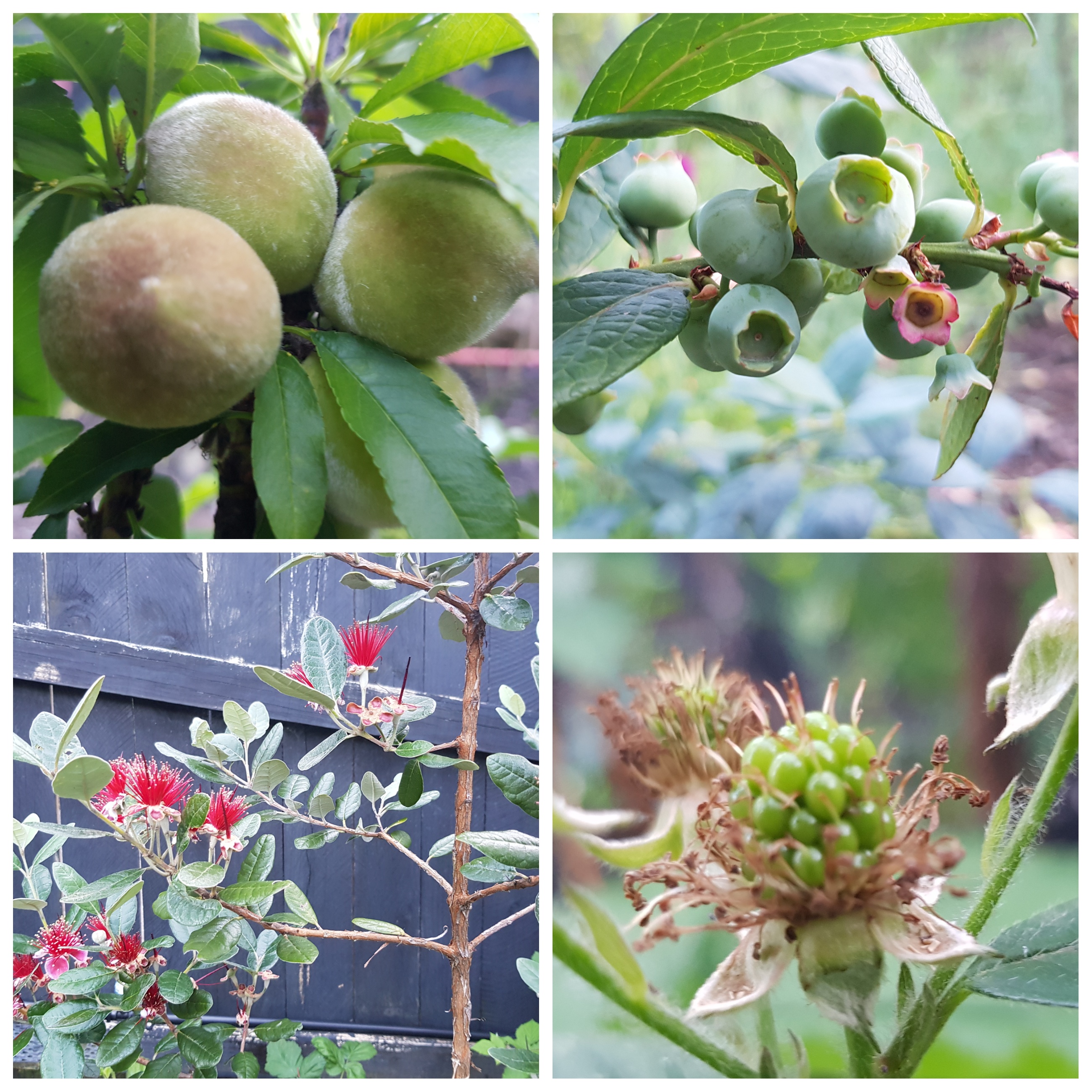 The New Owner Visited Today