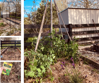 Fun with Garden Structures