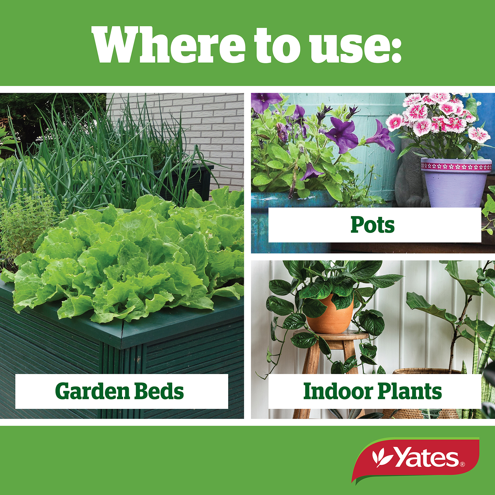 Yates Web Info Insect Gun RTU 750Ml 01