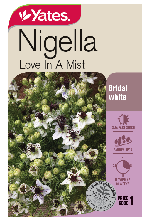 Nigella 'Love-In-A-Mist'