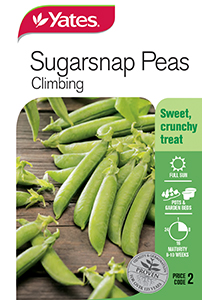 Sugarsnap Peas - Climbing