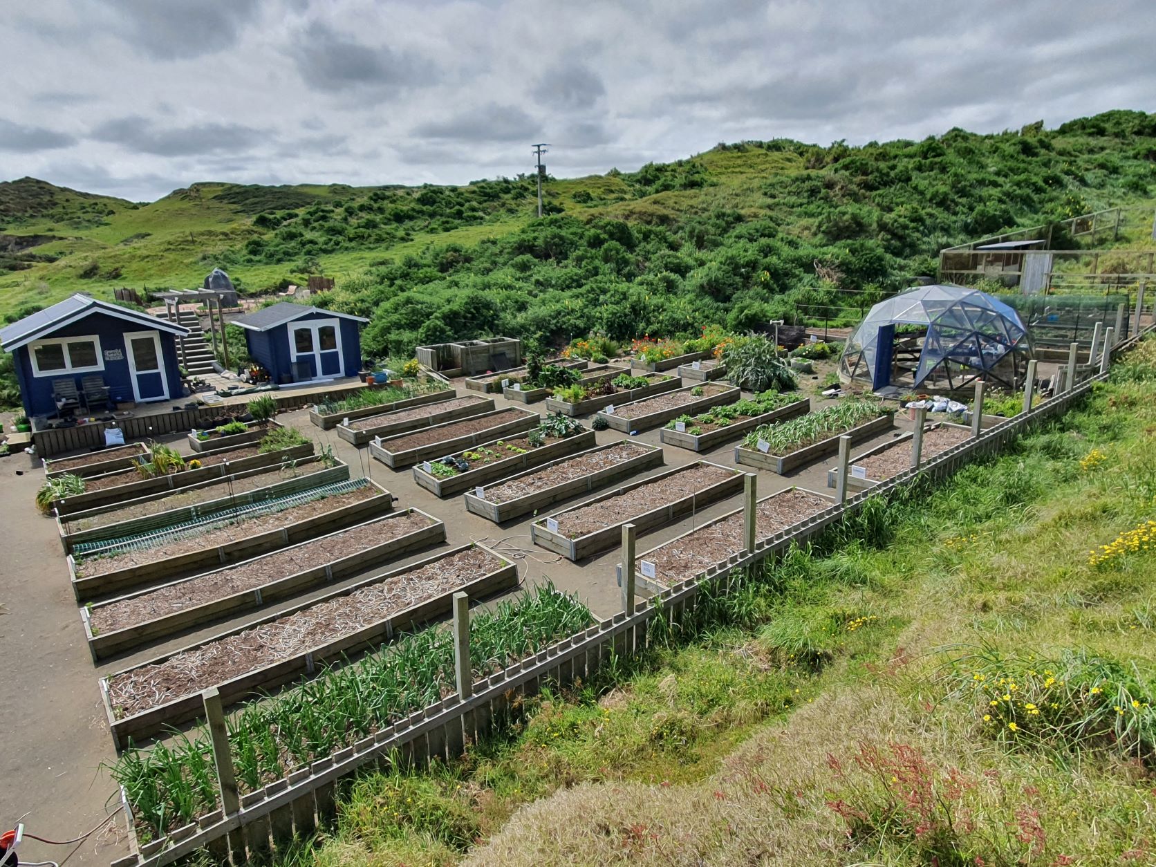 Friday Top Tips – Planting Out Day