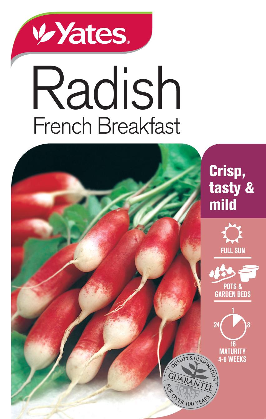 Radish 'French Breakfast'