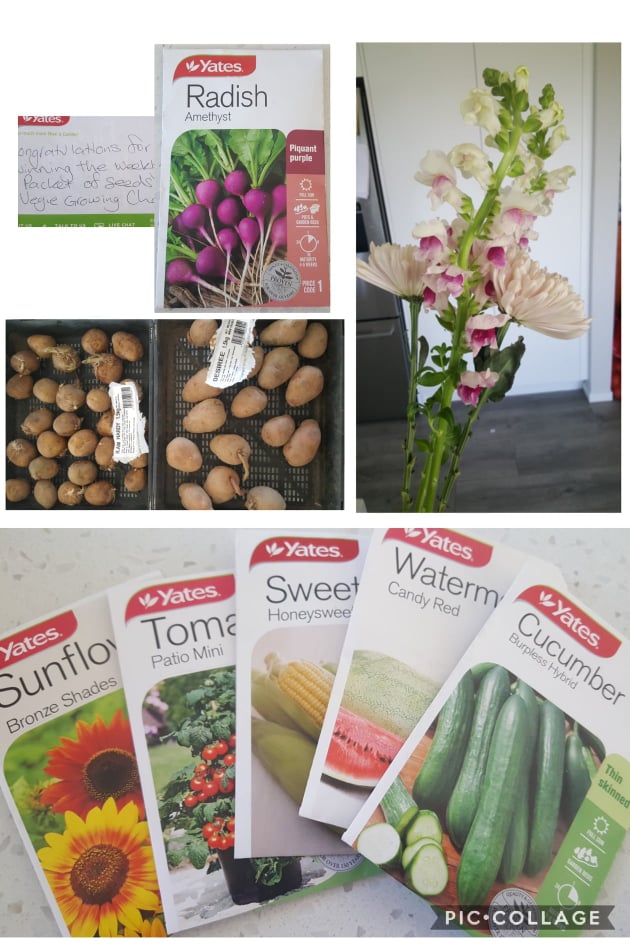 One stunning day!!!!