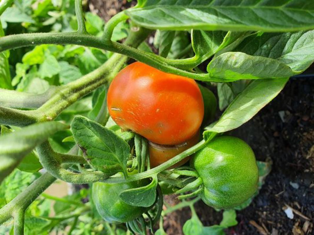 Only two weeks left!