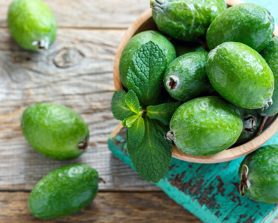 Feijoa